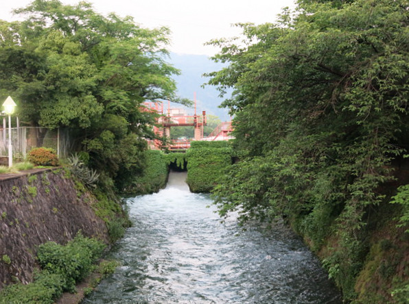 IMG_5849.jpga